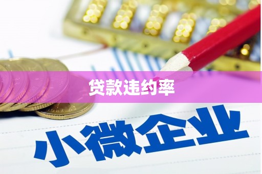 牟定贷款违约率