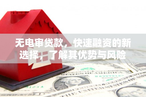 牟定无电审贷款，快速融资的新选择，了解其优势与风险