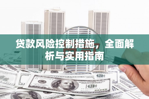 牟定贷款风险控制措施，全面解析与实用指南