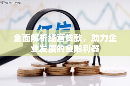 牟定全面解析经营贷款，助力企业发展的金融利器