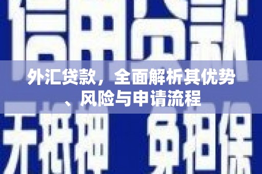 牟定外汇贷款，全面解析其优势、风险与申请流程