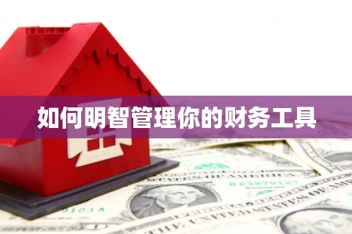 牟定如何明智管理你的财务工具