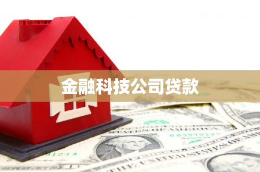 牟定金融科技公司贷款
