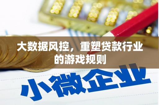 牟定大数据风控，重塑贷款行业的游戏规则