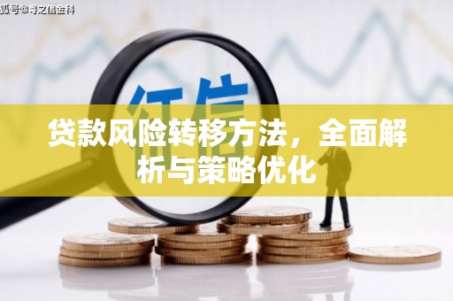 牟定贷款风险转移方法，全面解析与策略优化
