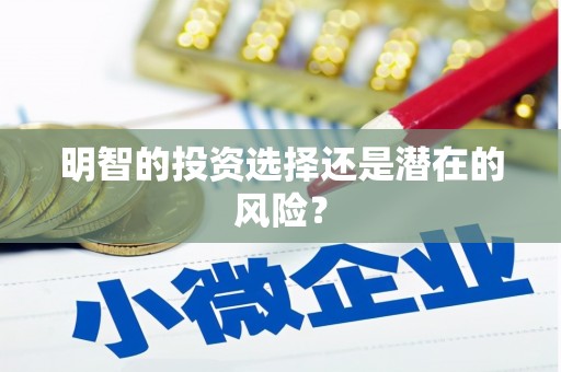 牟定明智的投资选择还是潜在的风险？