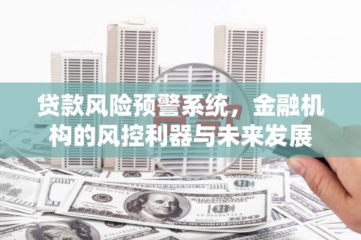 牟定贷款风险预警系统，金融机构的风控利器与未来发展