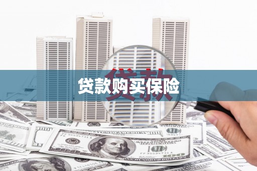 牟定贷款购买保险