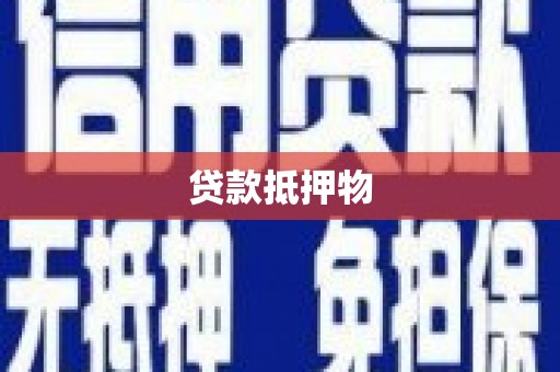 牟定贷款抵押物