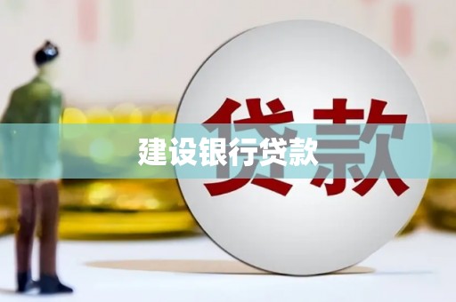 牟定建设银行贷款