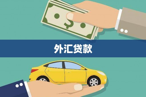 牟定外汇贷款