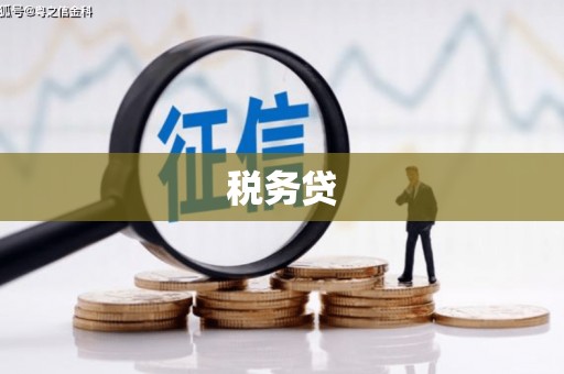 牟定税务贷
