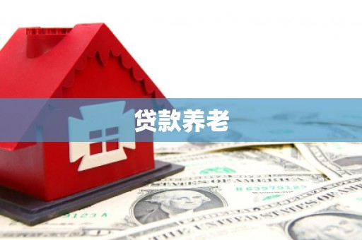 牟定贷款养老