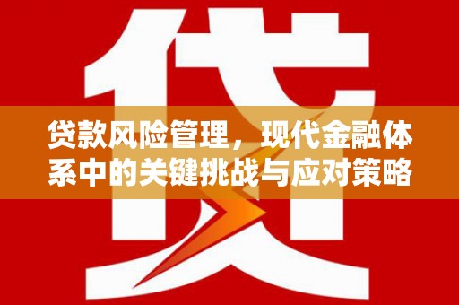 牟定贷款风险管理，现代金融体系中的关键挑战与应对策略