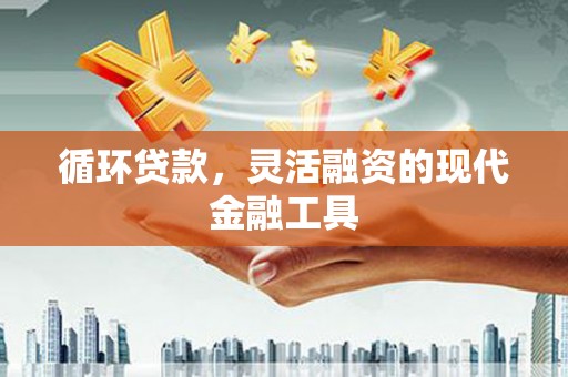 牟定循环贷款，灵活融资的现代金融工具