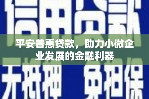 牟定平安普惠贷款，助力小微企业发展的金融利器