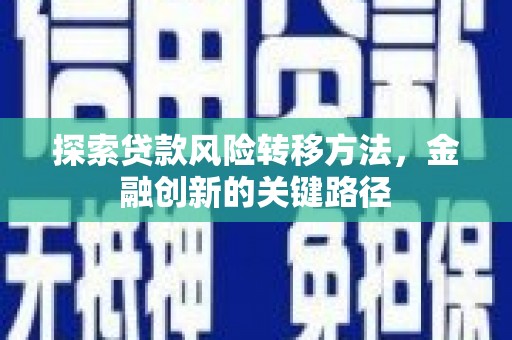 牟定探索贷款风险转移方法，金融创新的关键路径