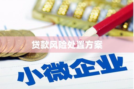 牟定贷款风险处置方案