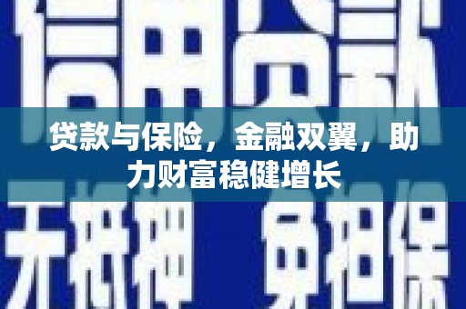 牟定贷款与保险，金融双翼，助力财富稳健增长