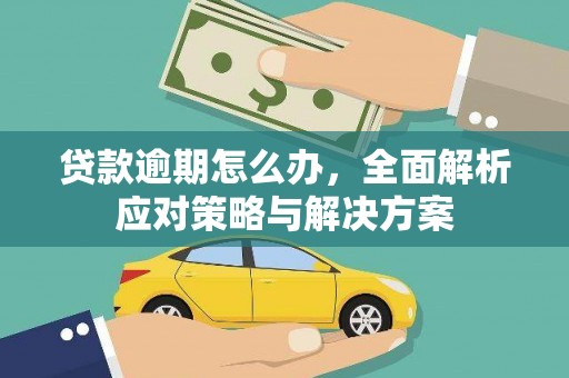 牟定贷款逾期怎么办，全面解析应对策略与解决方案