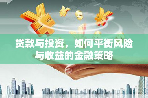 牟定贷款与投资，如何平衡风险与收益的金融策略