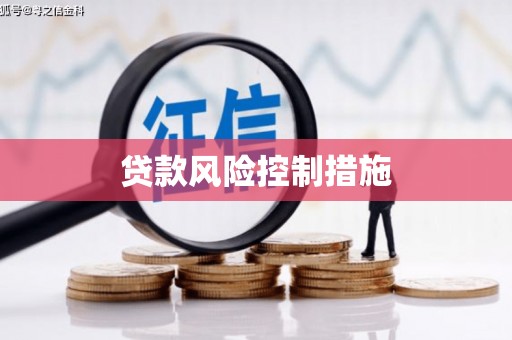 牟定贷款风险控制措施