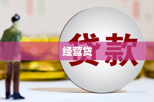牟定经营贷