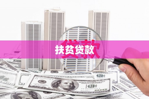 牟定扶贫贷款